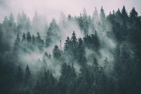 Фототапет – Гора в мъгла