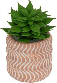 Изкуствено растение atmosphera Ubi Succulent, 7 cm, Различни видове