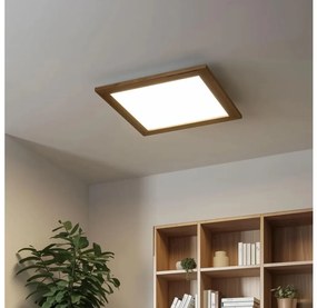 Eglo - LED RGB регулируем панел SALOBRENA-C LED/24W/230V кафяв + DO