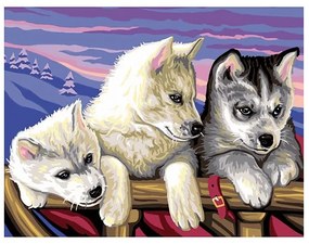 KSG Crafts - Рисуване по номера - голям  размер "Хъски"