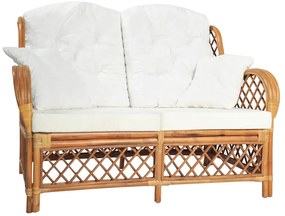 325474 vidaXL 2-местен диван, светлокафяв, ратан