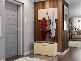 Мебели за антре Gesita-Сонома - сив