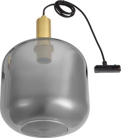 Design hanglamp messing met smoke glas voor railsysteem 1-fase - Iconic Zuzanna