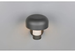 Стенно външно осветително тяло (височина 24,5 cm) Fraser – Trio