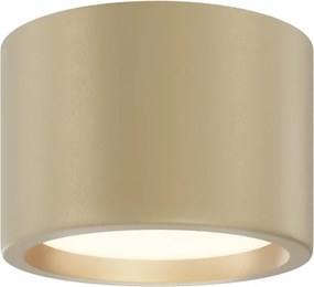 Maytoni Плафониера - C090CL-10W3K-MG