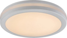 Rabalux Indre Външни таванни лампи (плафони) IP54 LED 28W 3000, 4000, 6500K 77036