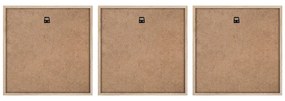 Картини в комплект 3 бр. 30x30 cm Pampas – Styler