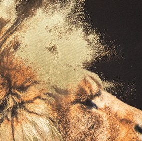 Картина atmosphera Lion, 60x90 cm