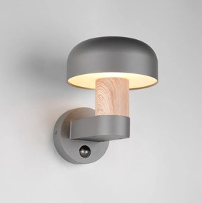 Стенно външно осветително тяло (височина 24,5 cm) Fraser – Trio