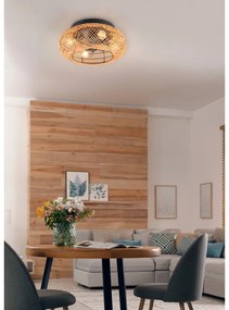 Кафяво осветително тяло за таван с дистанционно управление/с вентилатор Lillesand – Trio