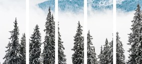 картини от 5 части – Заснежени борови дървета