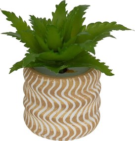 Изкуствено растение atmosphera Ubi Succulent, 7 cm, Различни видове