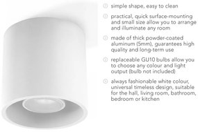 Бяло таванно осветително тяло Roda - Sollux