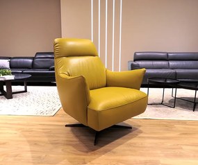 Кресло Natuzzi C056