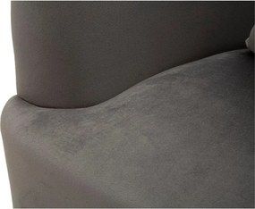 Сиво кадифено кресло Silvery – Mauro Ferretti