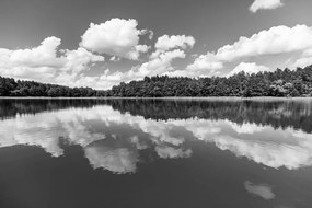 Фототапет – Черно-бяло езеро през лятото