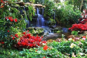 Colourful Garden - C402