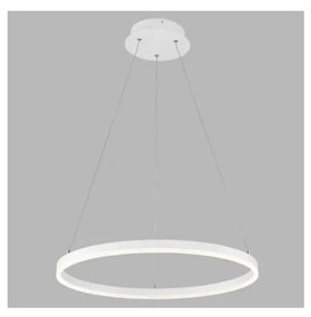 LED2 - LED Висящ полилей CIRCLE LED/42W/230V