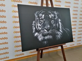 Картина на платно – Тигър в черно-бял вариант