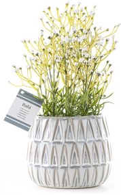 Изкуствено растение (височина 27 cm) Babi – Restilo