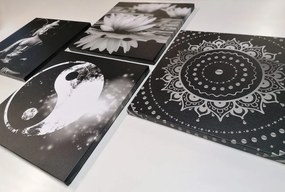 Комплект картини – Фън Шуй в черно-бяло