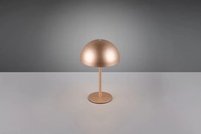 LED настолна лампа в бронзов цвят с метален абажур (височина 21 cm) Munoz – Reality