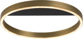 Rabalux Thric Таванно осветление (плафони) IP20 LED 20W 3000 71309