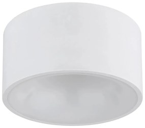 Globo 56964W - LED таванен плафон RAYMOND LED/12W/230V 3000K Ø 15 см бял