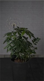 Външно соларно LED осветително тяло с бели светодиоди, височина 100 cm Firework - Star Trading