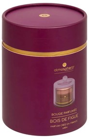 Ароматна свещ atmosphera Ilae, Стъкло, 240 g - Fig