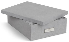 Картонени органайзери за докумнети в комплект от 5 бр. Holger – Bigso Box of Sweden