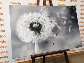 Картина на платно – Магическо глухарче в черно-бяло изпълнение