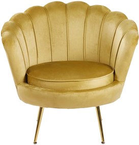 Фотьойл Moli-Жълто