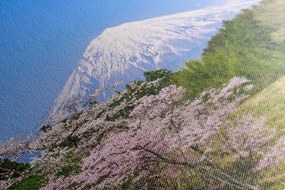 Картина на платно – Вулканът Фуджи