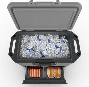 Хладилна кутия Ninja FrostVault FB151EUGY, 47 л, Пасивна, 80 кена, Поддържа лед до 6 дни, Сухо отделение, Сив