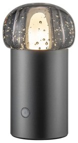 LED преносимо затъмняващо се външно осветително тяло с USB ø 10 cm Iris – Blomus