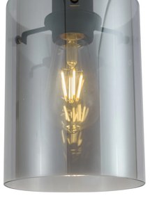 Модерен прожектор черен с димно стъкло за 1-фазна релсова система - Iconic Dome