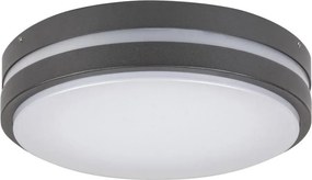 Rabalux 8847 - LED Екстериорна Стенна лампа HAMBURG LED/10W/230V IP44
