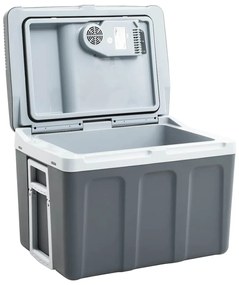 51199 vidaXL Преносима термоелектрическа хладилна кутия 40 л 12 V 230 V E