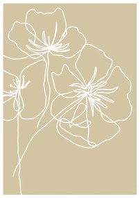 Постер 29x41 cm White Poppy – Veronika Boulová