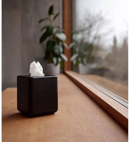 Пластмасова кутия за носни кърпички Ume – Zone