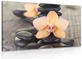 Картина на платно – Жълта орхидея и Зен камъни