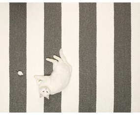 Антрацитна и кремава пътека за открито и закрито 70x150 cm Bob Charcoal Linen – Pappelina