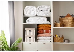 Вакуумни торбички в комплект от 2 броя Premium Valve L – Compactor