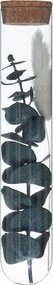 Декоративни цветя atmosphera House, 17 cm