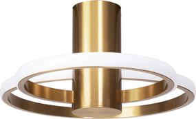 Лампа gold APP1403-CW Brush Gold