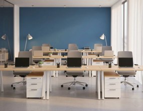 Бюро Deskudo-Leuko-Sonoma