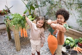 Детска възглавница Cathy the Carrot – Lorena Canals