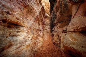 Фототапет – Пътека през Гранд Каньон