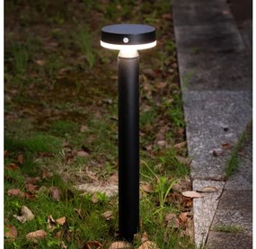 Zuma Line PT33613 - LED Соларна лампа CARLI LED/4,5W/2000 mAh IP44 черен